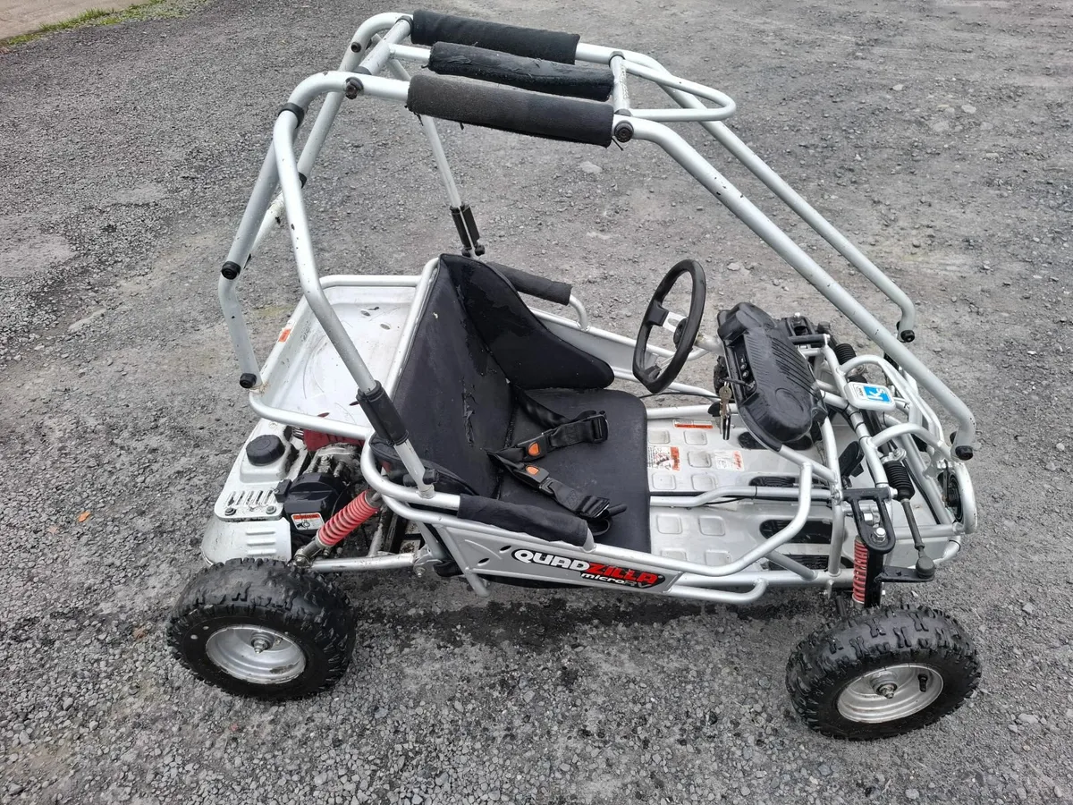 Junior Kids Quadzilla..petrol kart - Image 1