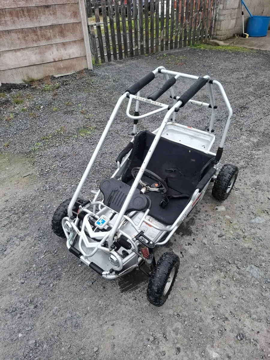 Junior Kids Quadzilla..petrol kart - Image 2