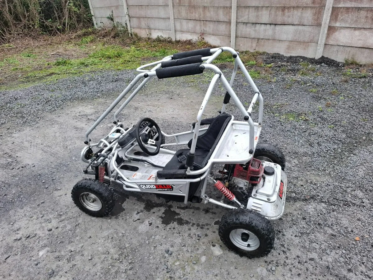 Junior Kids Quadzilla..petrol kart - Image 4