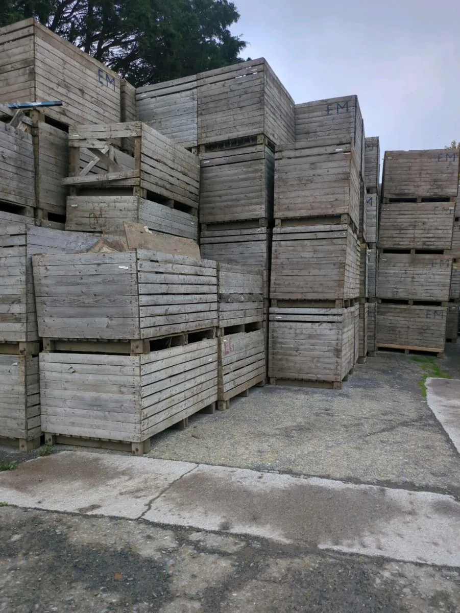 Potato boxes - Image 1