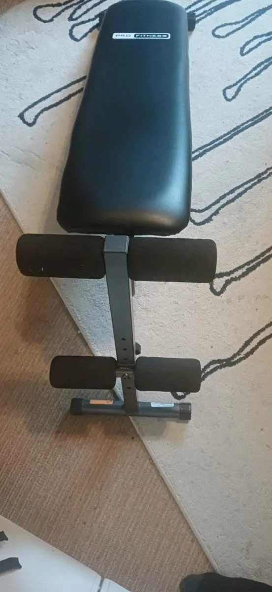 Decline Sit Up Bench - Image 1
