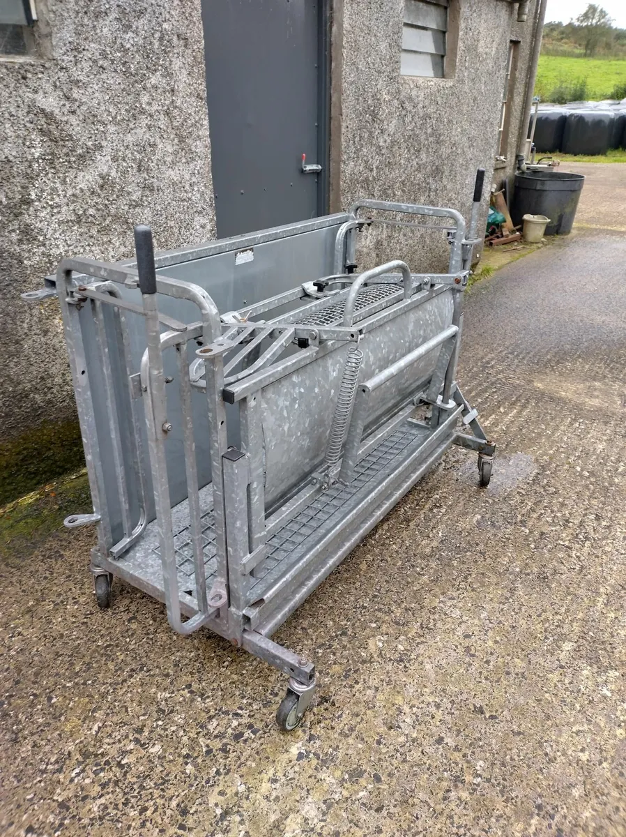 Sheep rollover crate - Image 1
