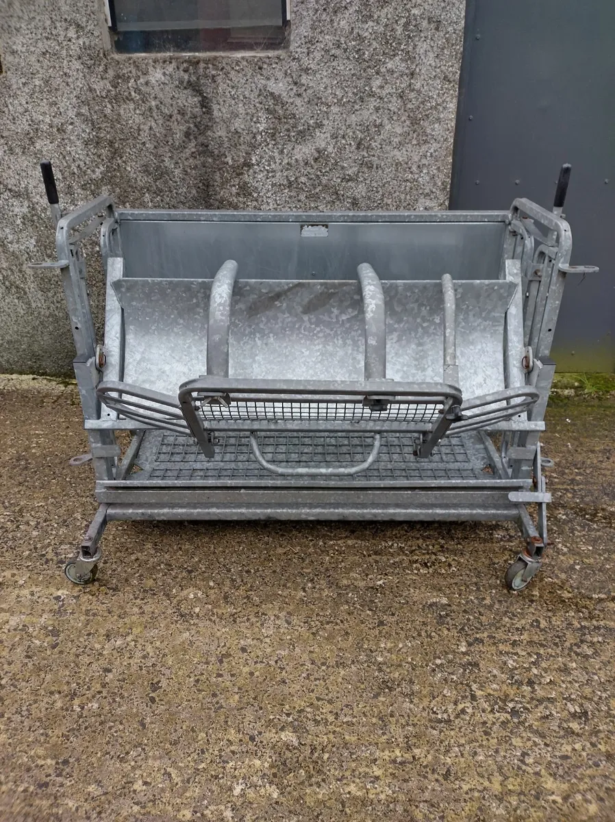 Sheep rollover crate - Image 2