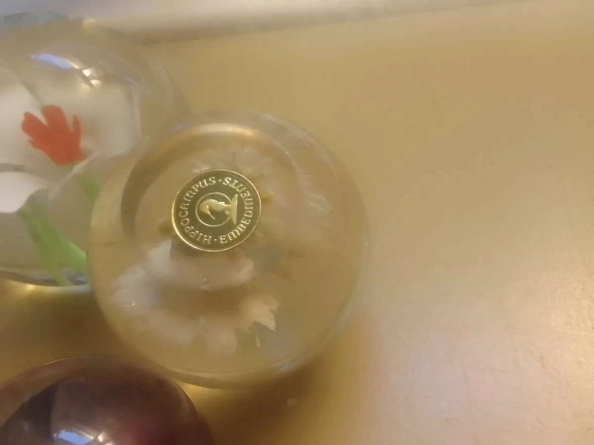 VINTAGE GLASS FLOWER PAPER WEIGHTS SET OF THREE - Image 4