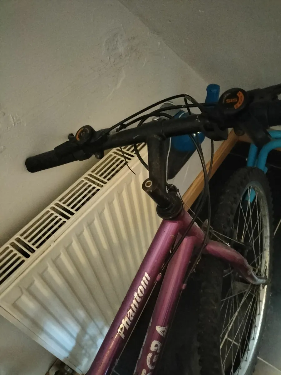 Ladies bike - Image 2
