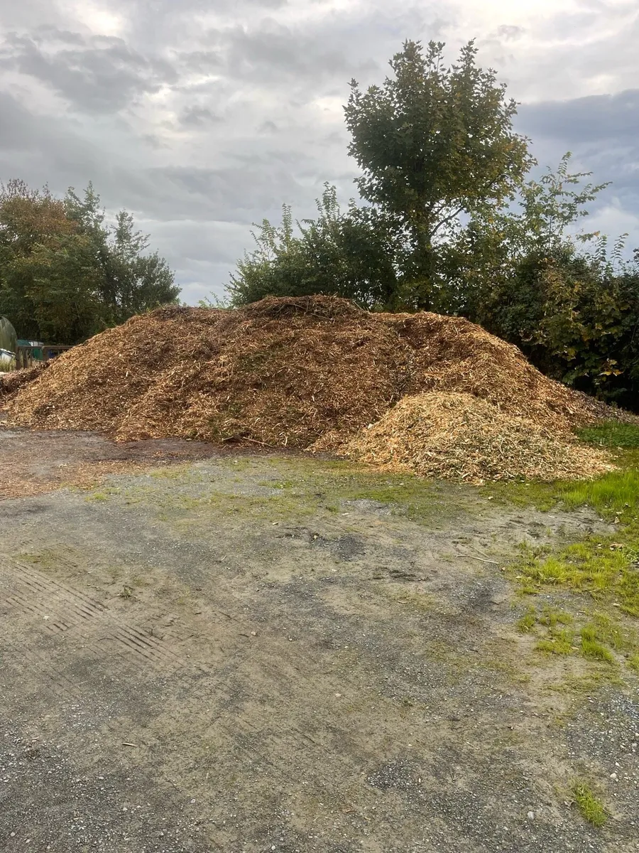 Wood chip - Image 1