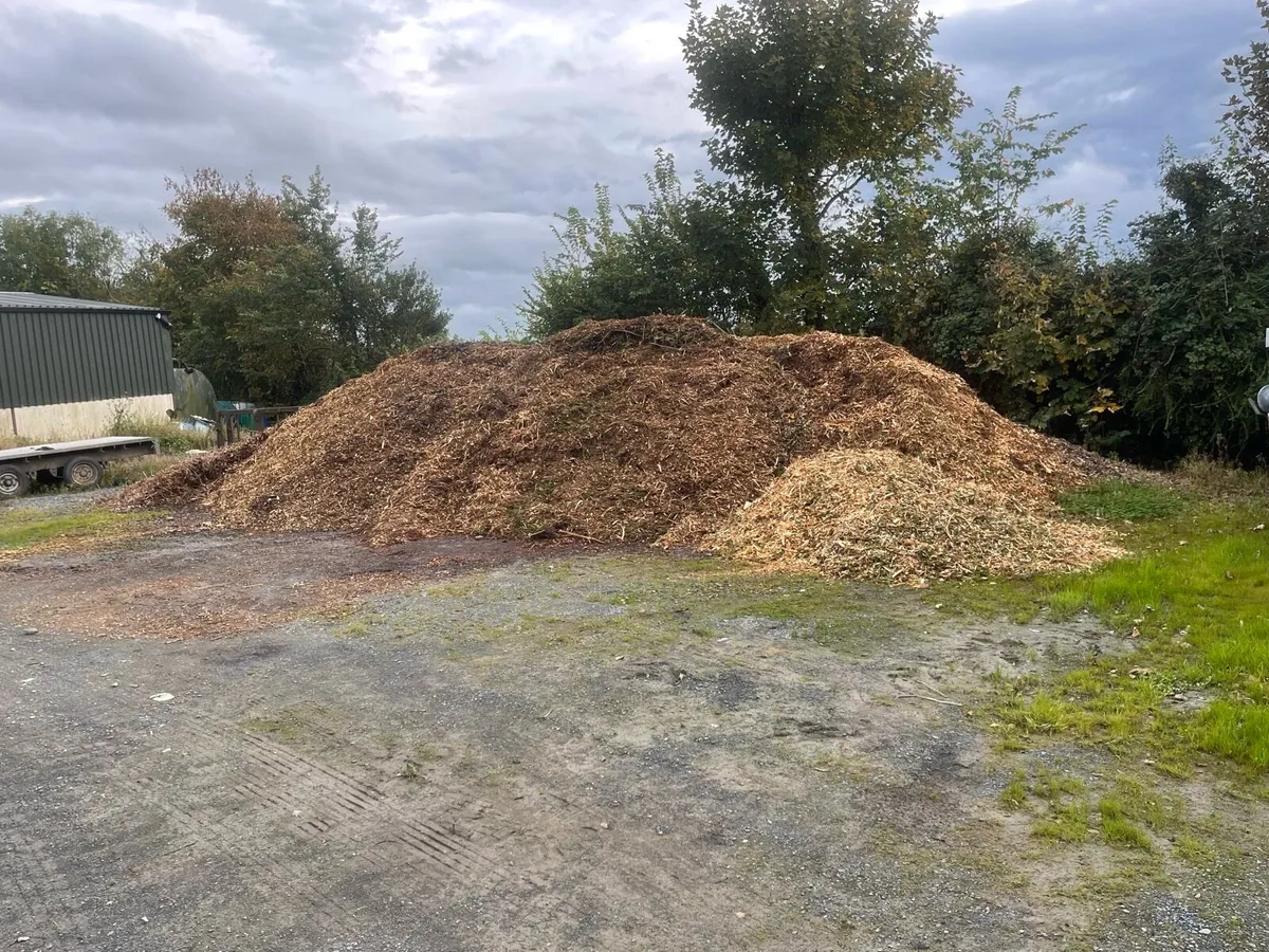 Wood chip - Image 2