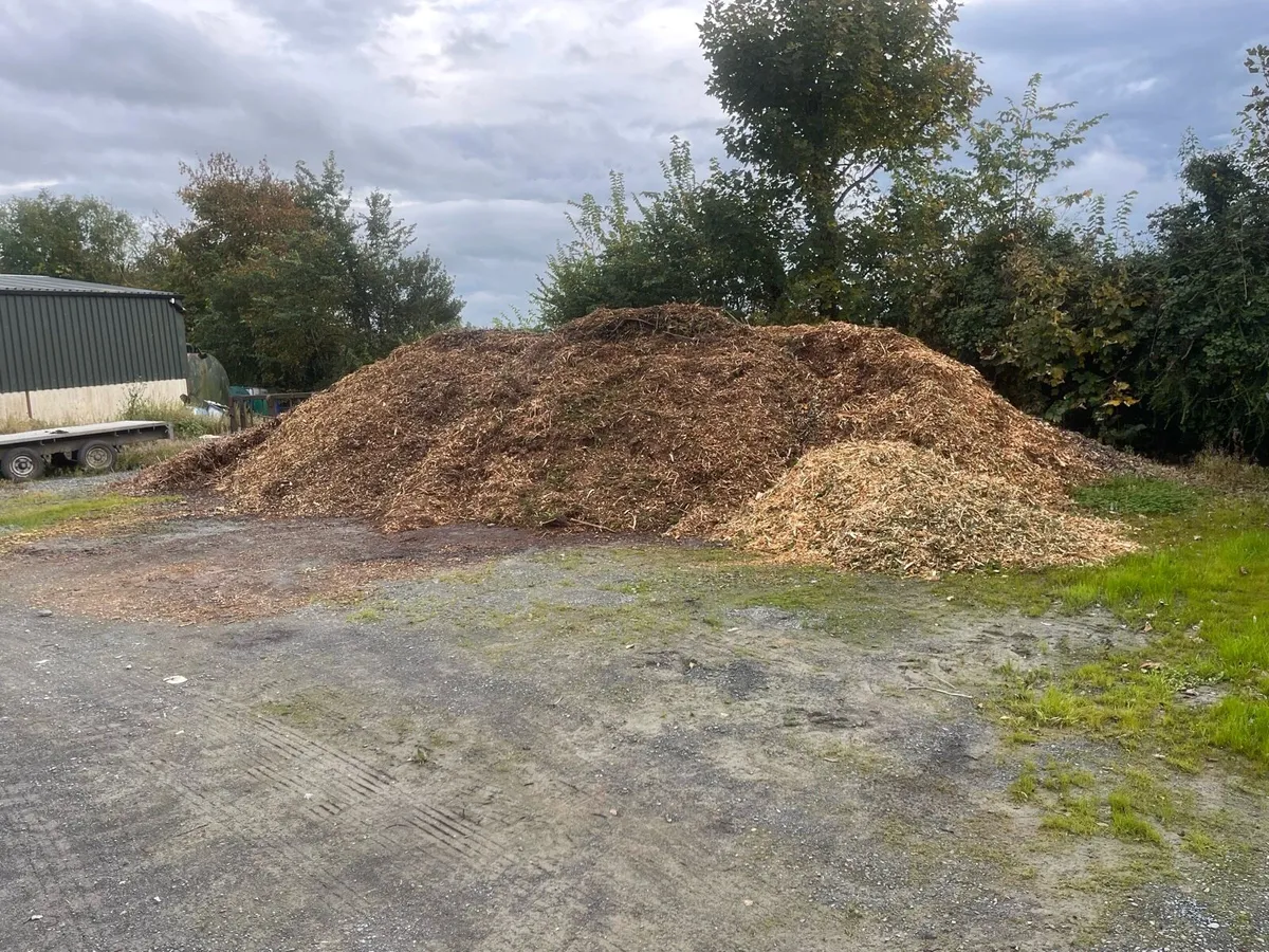 Wood chip - Image 3