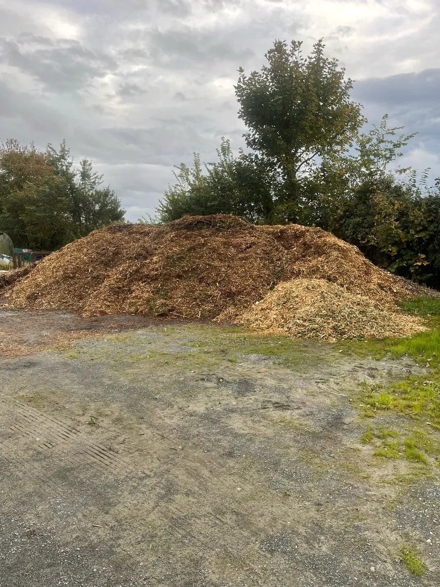 Wood chip - Image 4