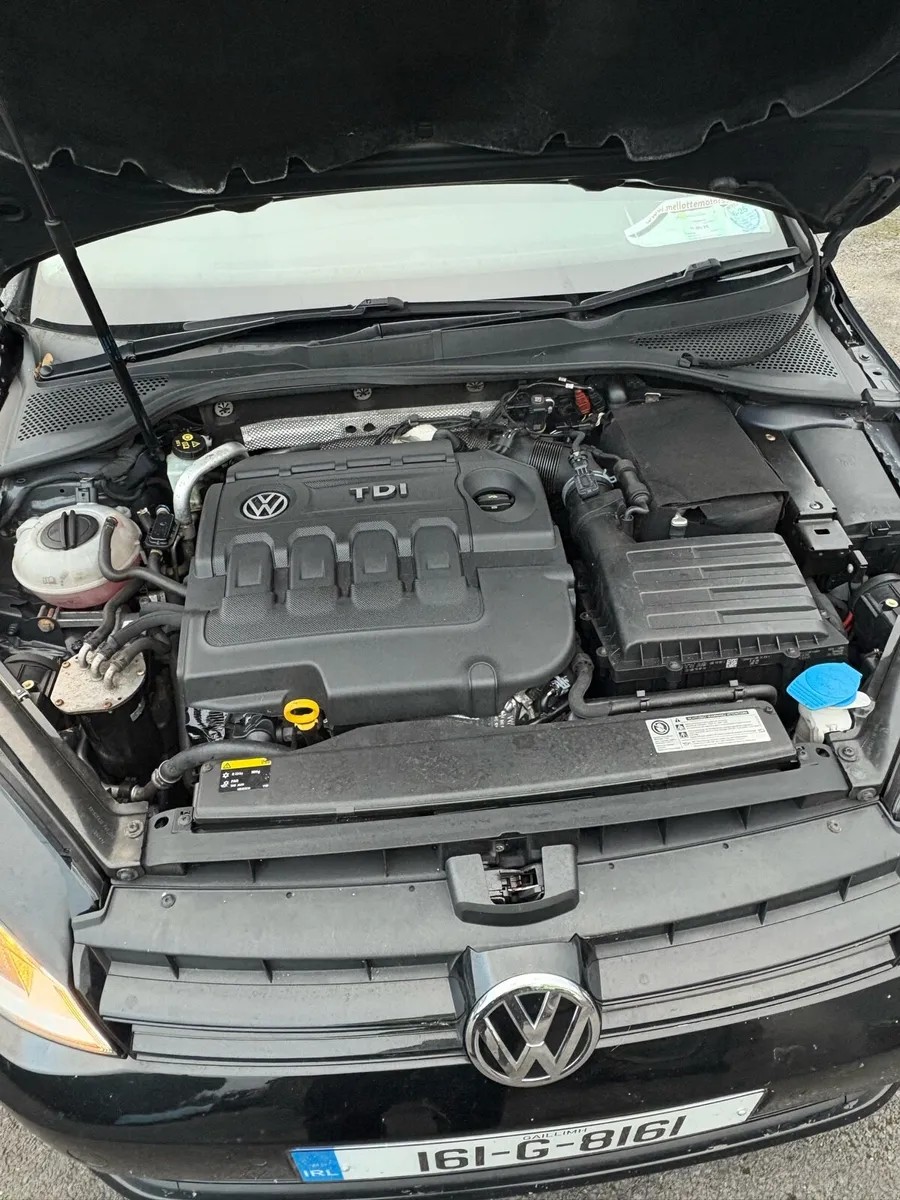 VW Golf - Image 2