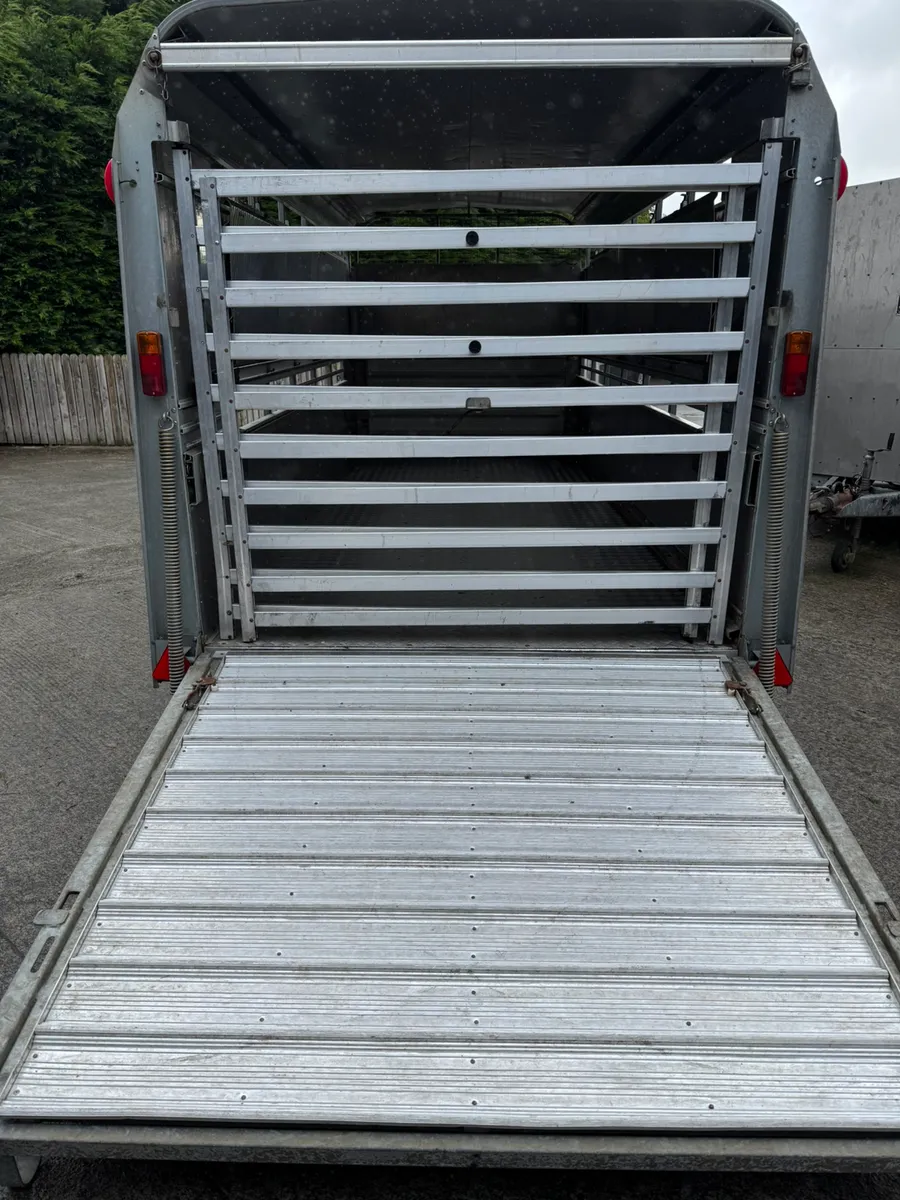 Ifor Williams livestock trailer - Image 3