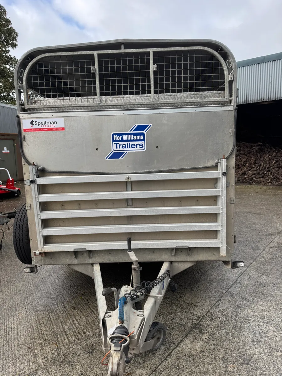 Ifor Williams livestock trailer - Image 4