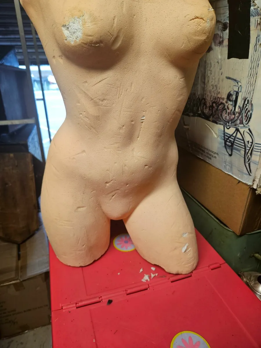 Mannequin Torso - Image 2