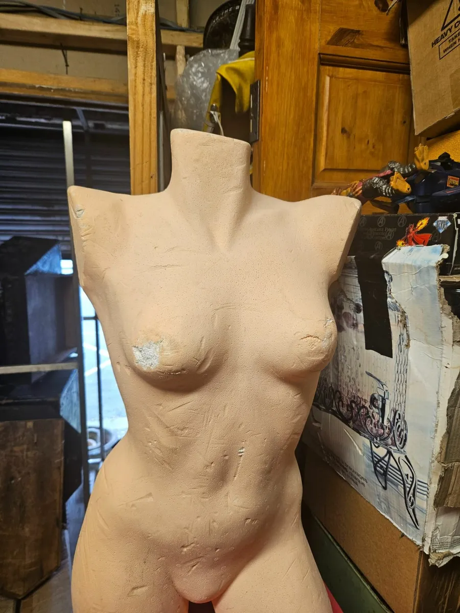 Mannequin Torso - Image 4