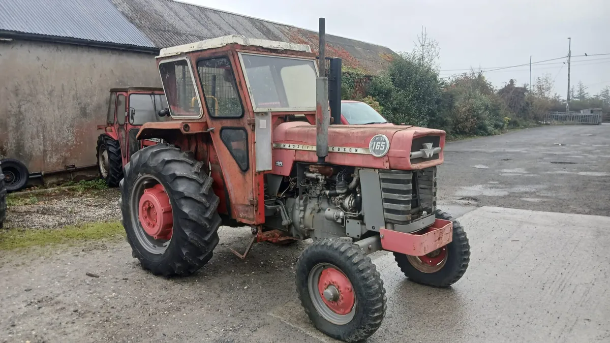 1967 Massey Fergusson 165 - Image 2