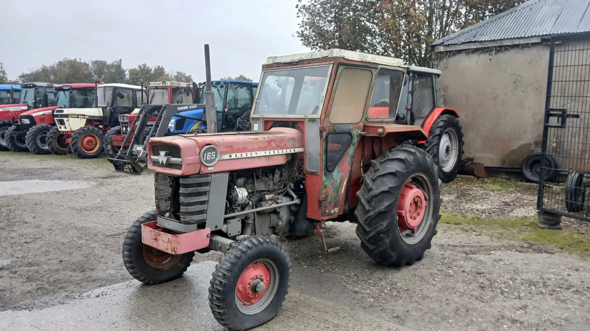 1967 Massey Fergusson 165 - Image 1