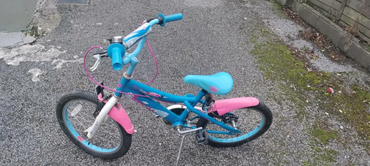 Girls bicycle and flicker - Image 1