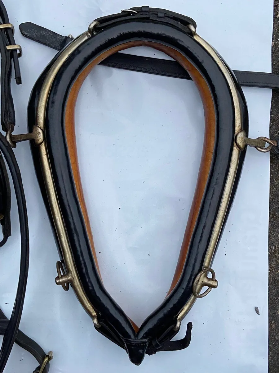 Set of driving harness - Image 2