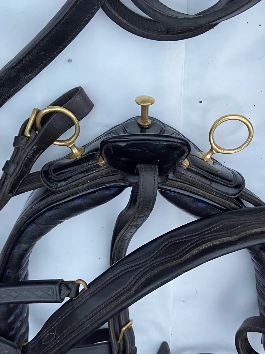 Set of driving harness - Image 4