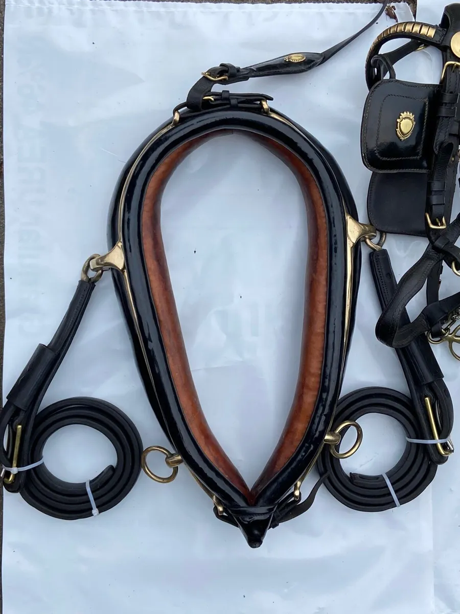 Set of driving harness - Image 1