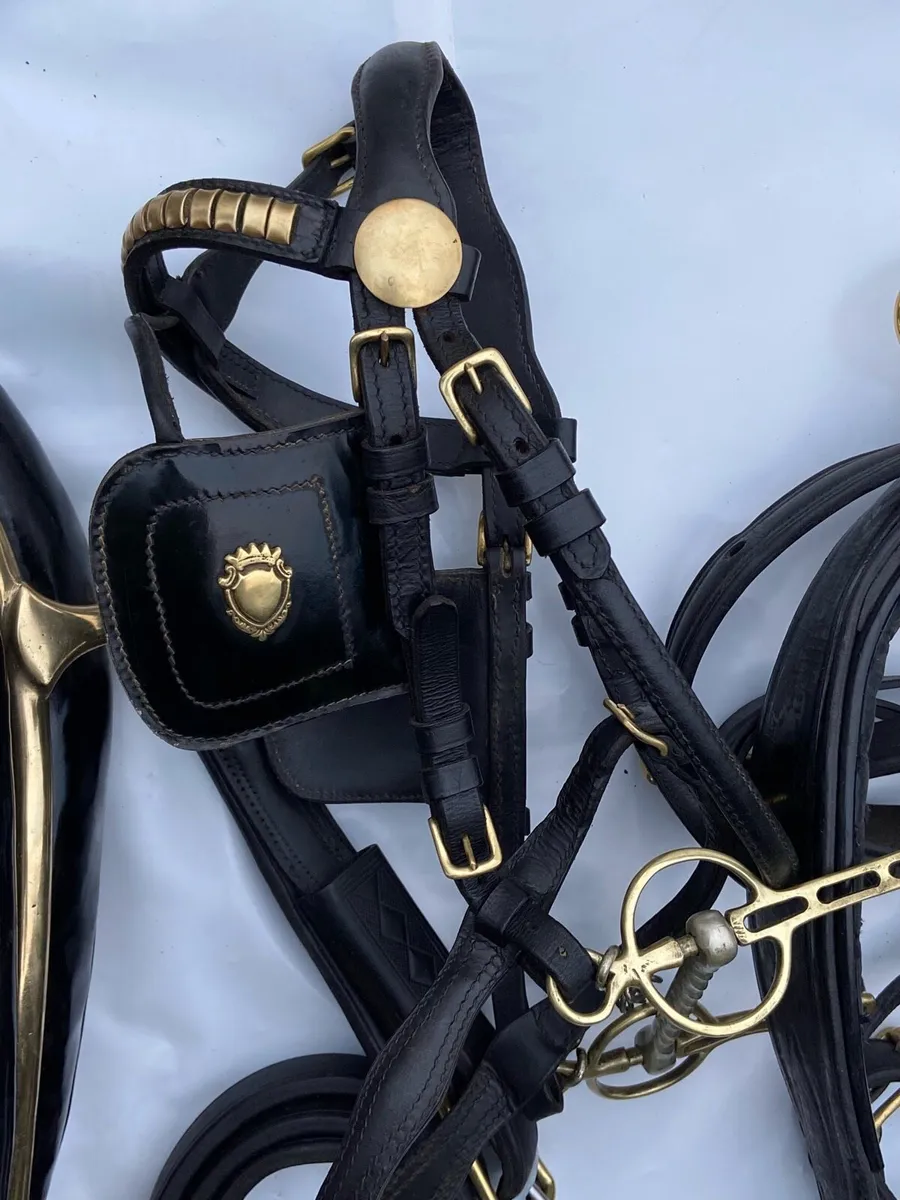 Set of driving harness - Image 2