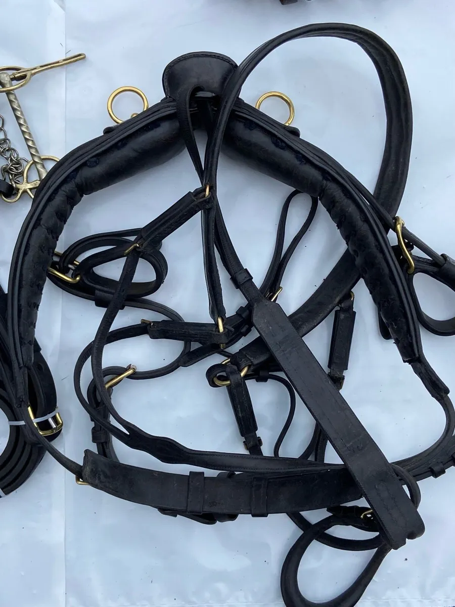 Set of driving harness - Image 4