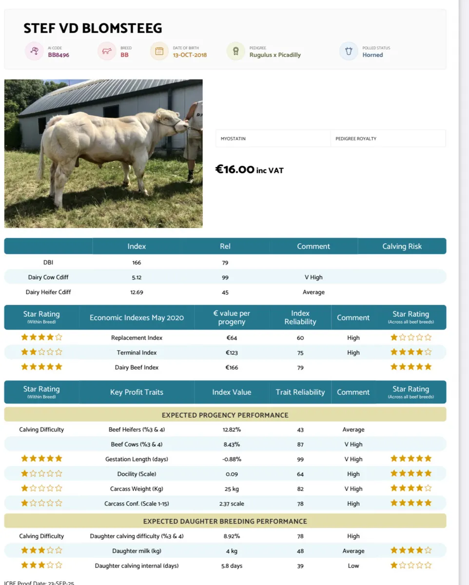 AI bred weanlings Ballymahon show sale 18th Oct - Image 3