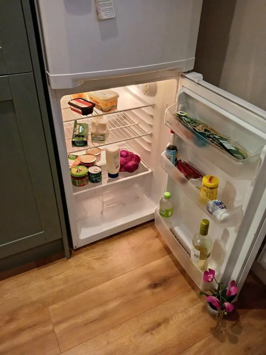 Fridge freezer - Image 1