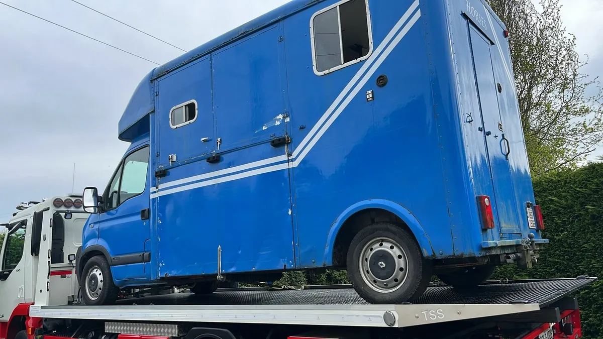Renault master horse box