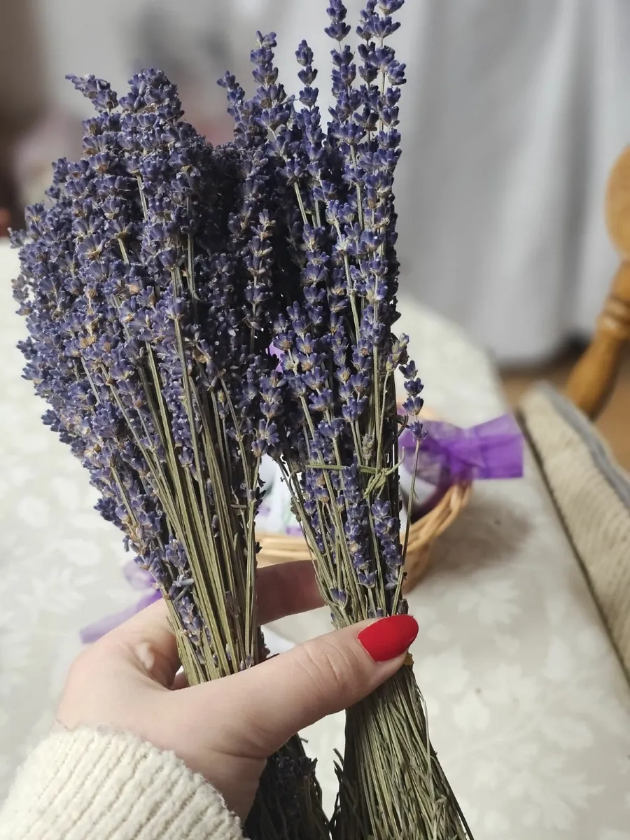 Lavender ( Dry bouquets and sachets) - Image 4