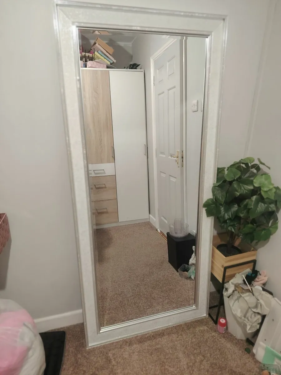 Large Mirror - Image 1