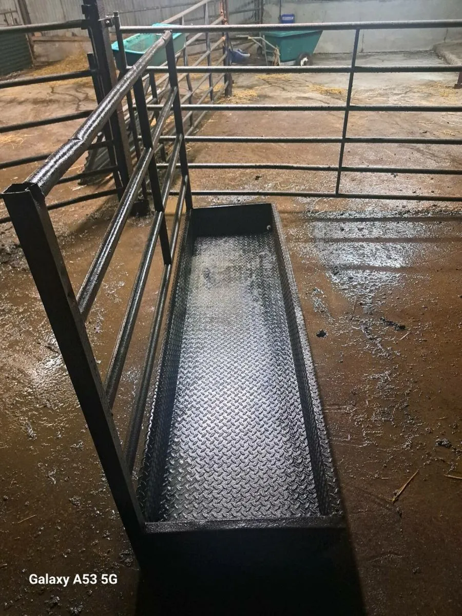 Cattle Footbath - Image 2