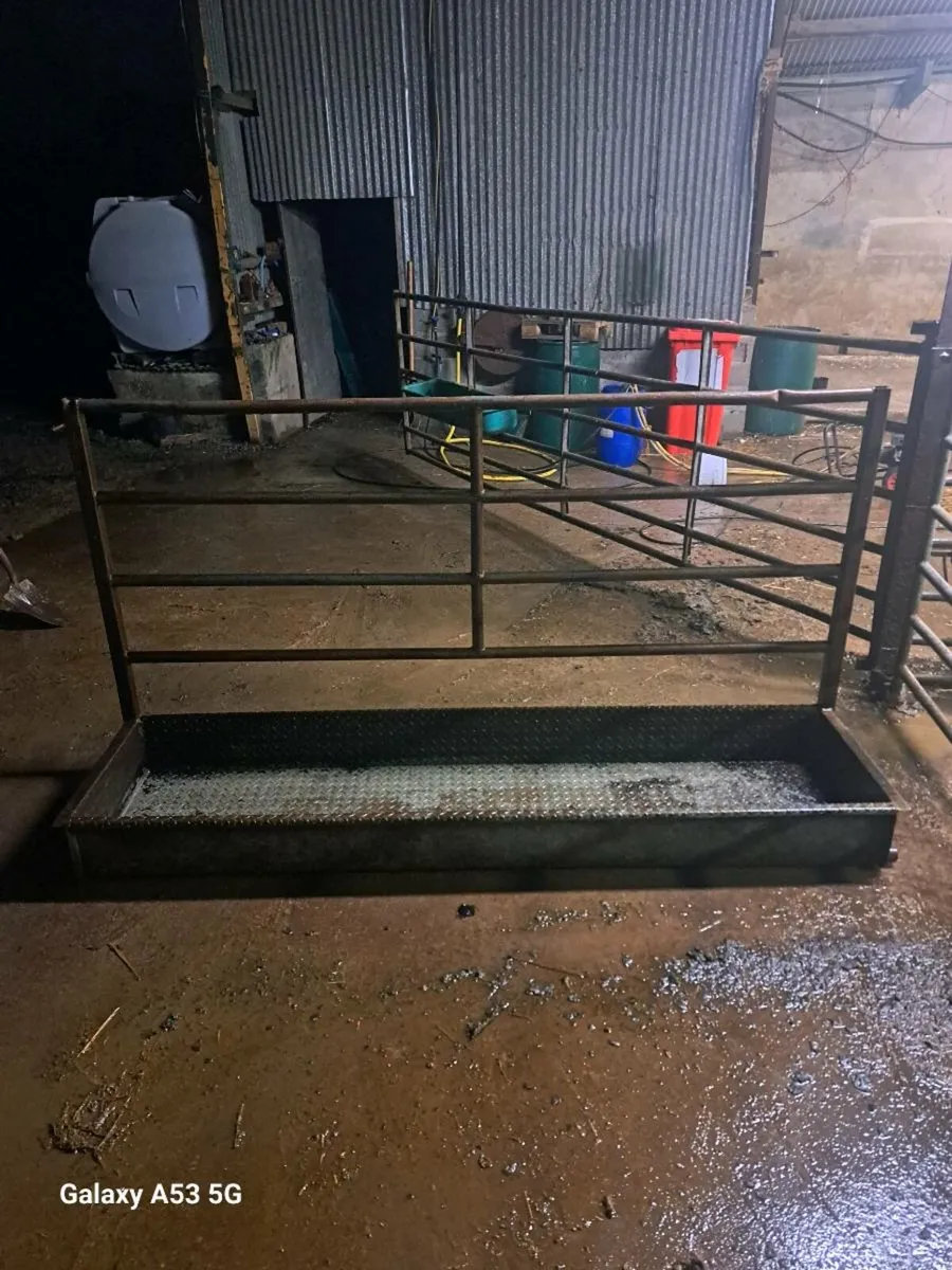 Cattle Footbath - Image 3
