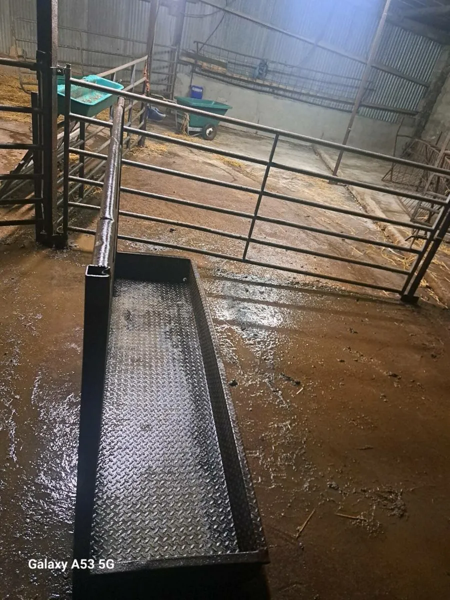 Cattle Footbath - Image 4