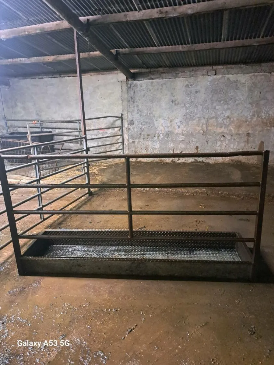 Cattle Footbath - Image 1