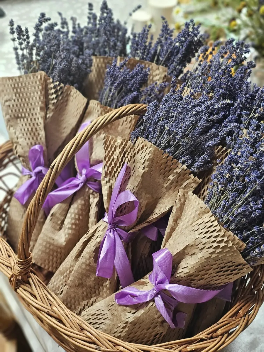 Lavender ( Dry bouquets and sachets) - Image 1