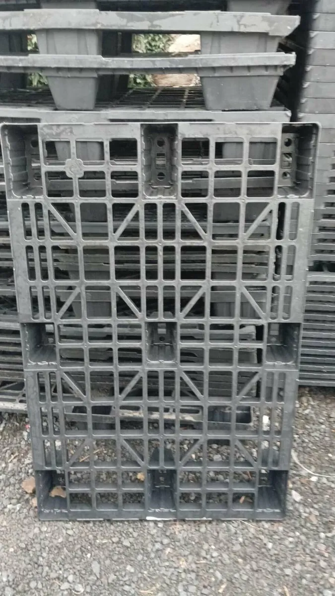 200 plastic pallets - Image 2