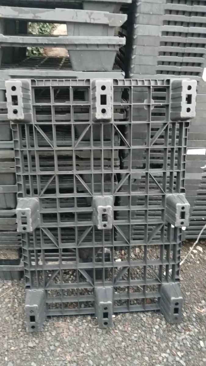 200 plastic pallets. - Image 1