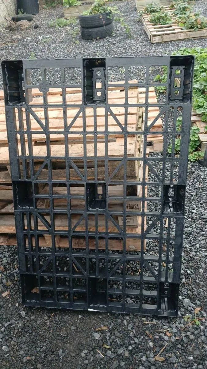 200 plastic pallets. - Image 2