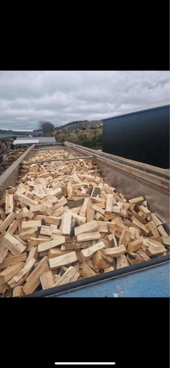 Firewood - Image 1