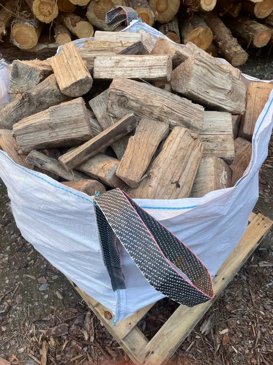 Firewood - Image 2