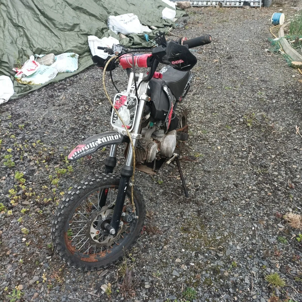 07 suzuki - Image 1