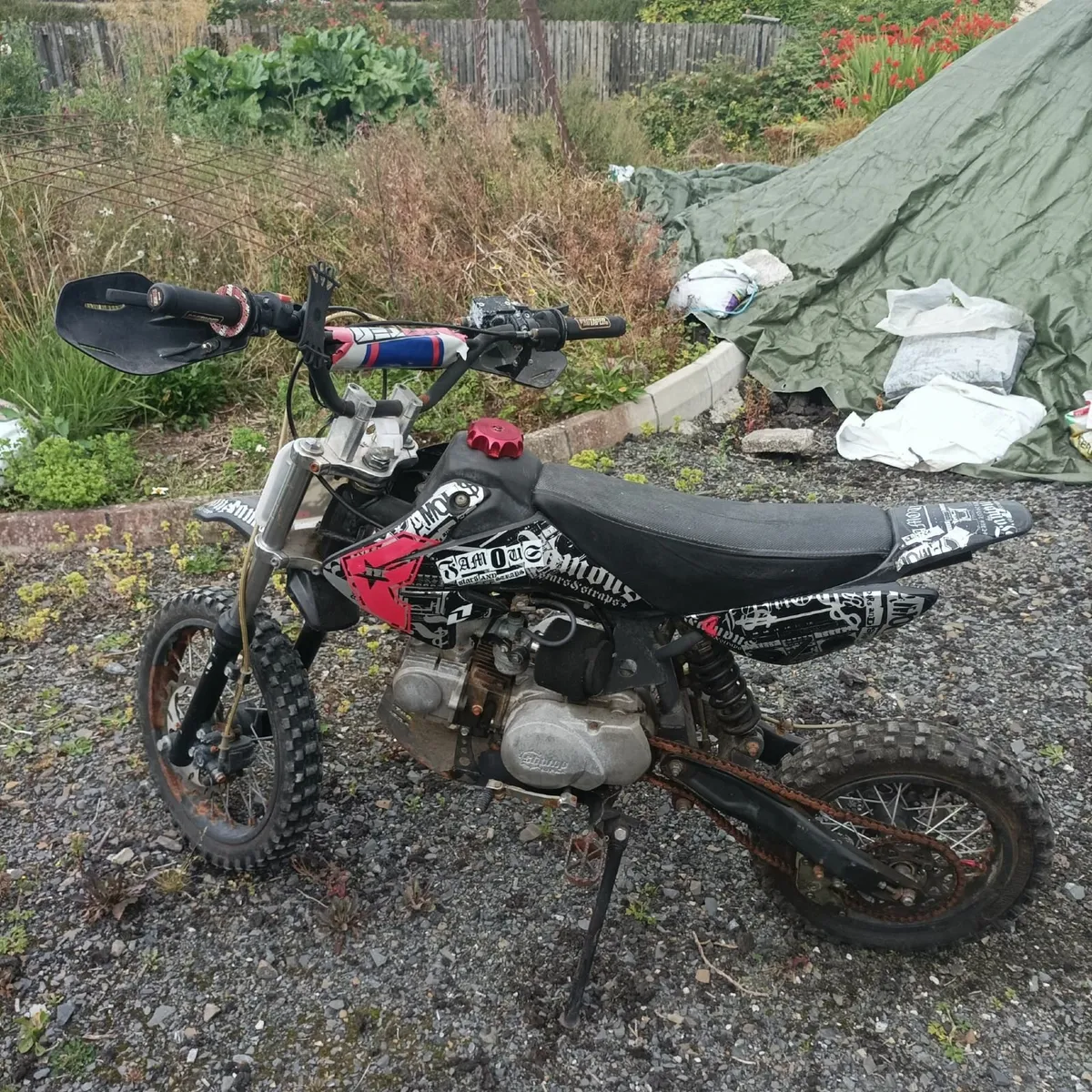 07 suzuki - Image 2