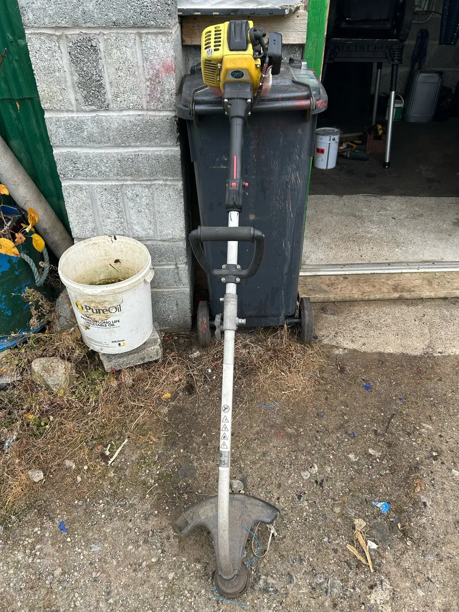 Procut petrol strimmer - Image 1