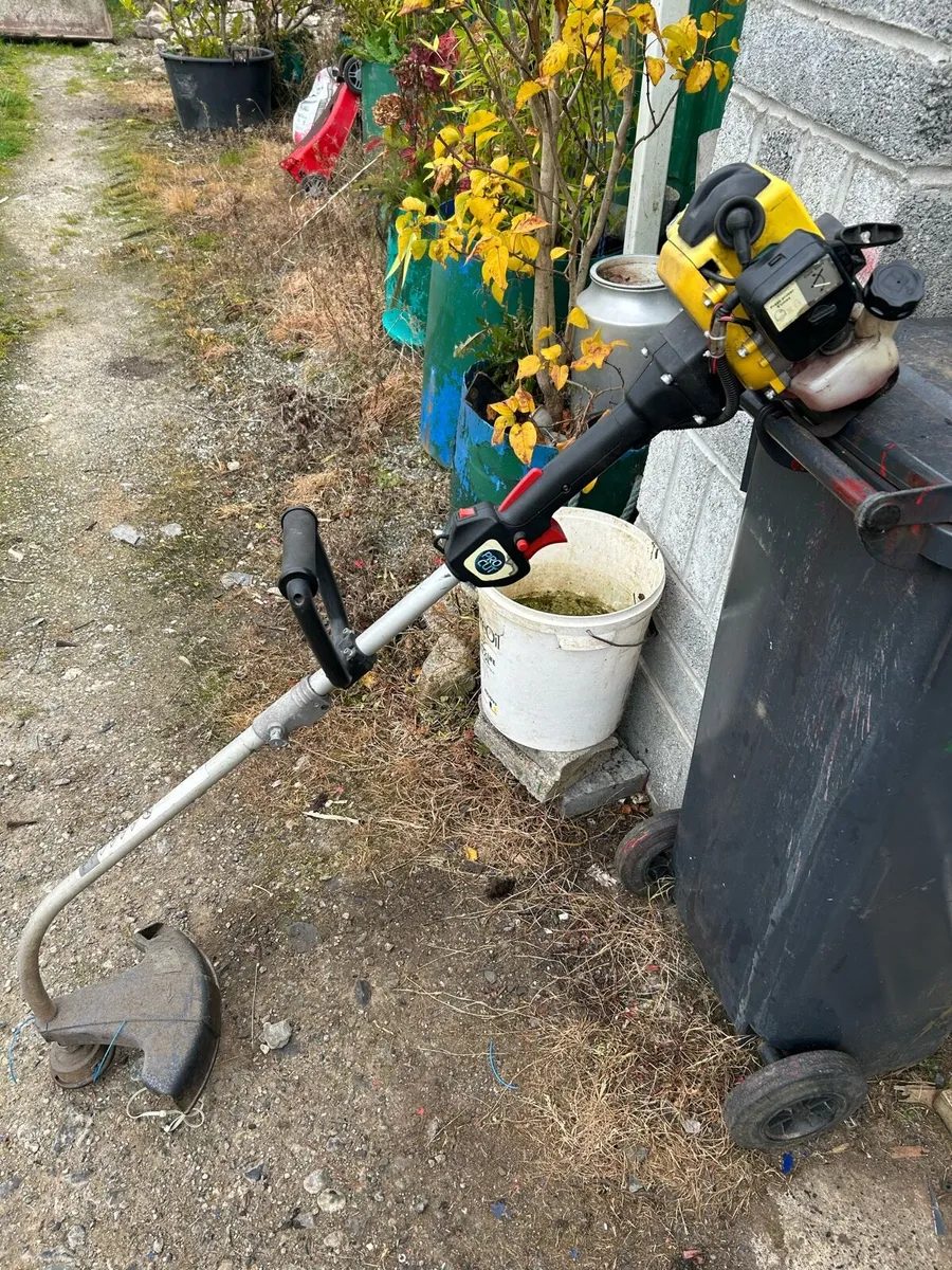 Procut petrol strimmer - Image 2