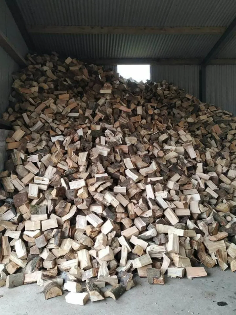 Firewood - Image 3