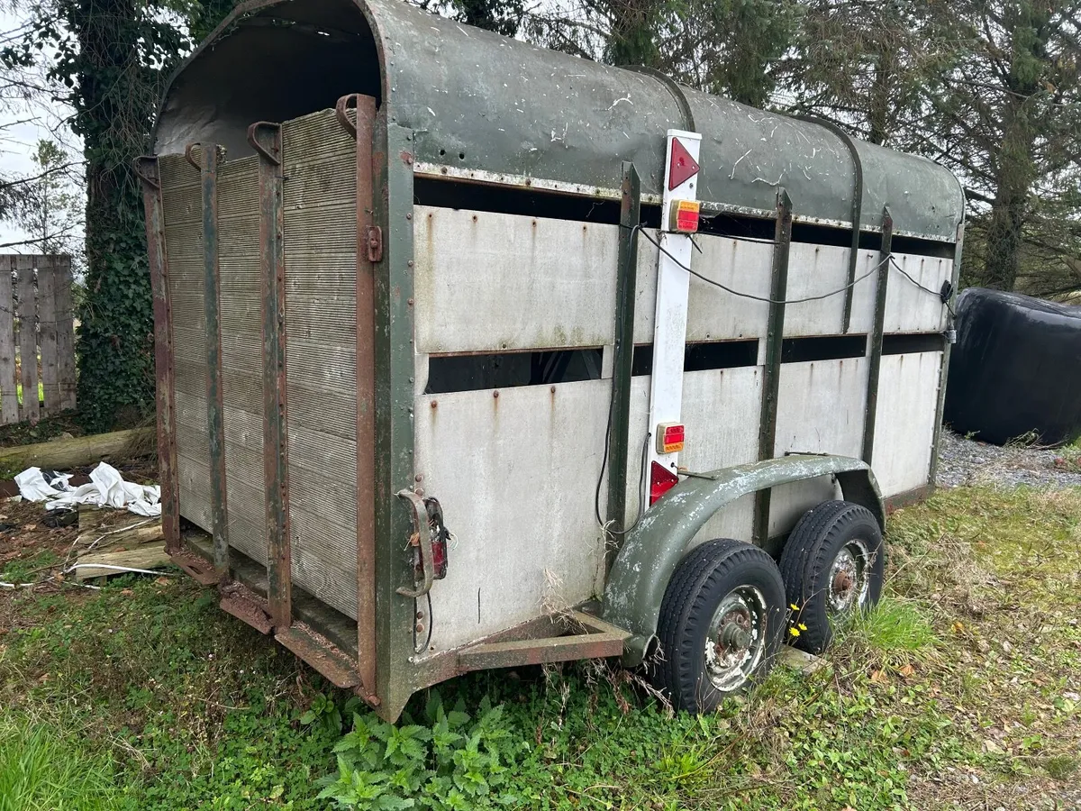 12ft x6x6 cattle trailer no brakes lights - Image 2