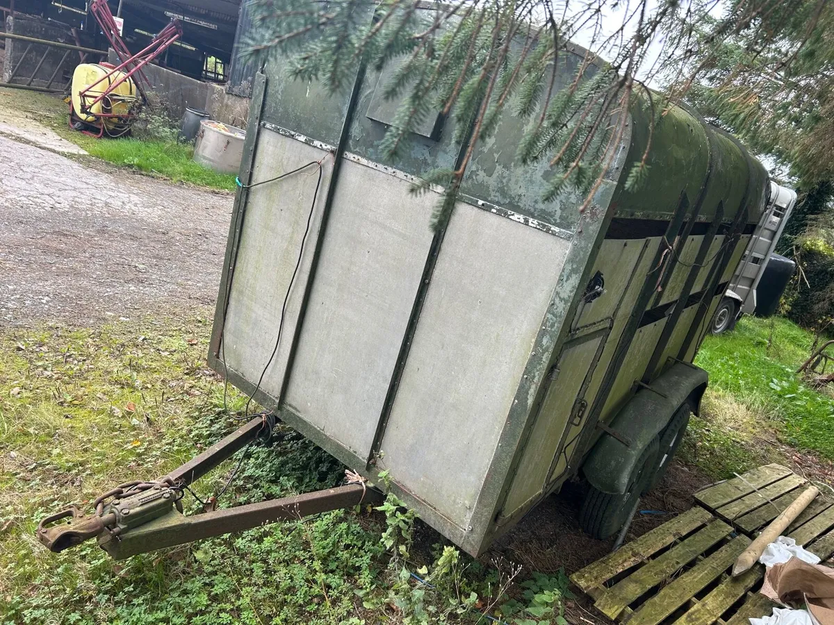 12ft x6x6 cattle trailer no brakes lights - Image 4