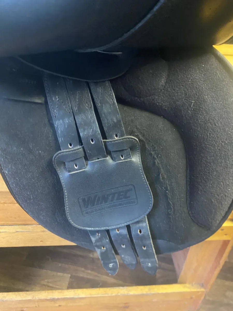 Wintec pro jump adjustable saddle - Image 3