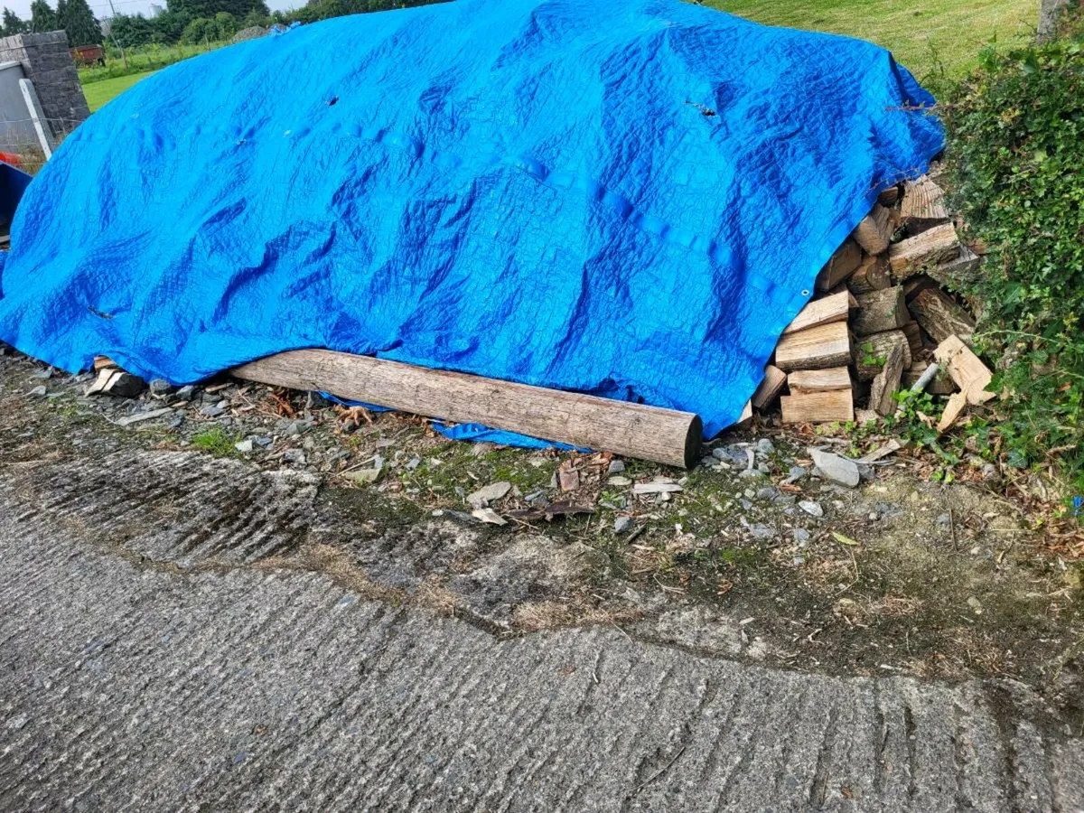 Firewood